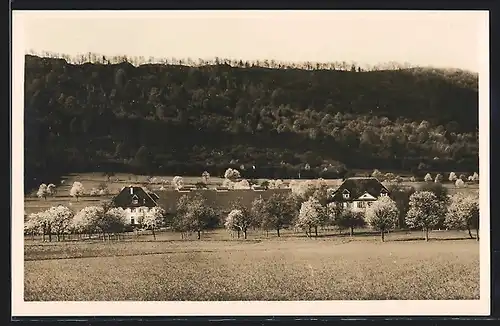 AK Birr, Schweiz. Pestalozziheim Neuhof