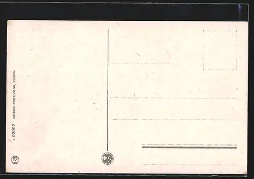 AK Cham, Gesamtansicht des Institut Heiligkreuz