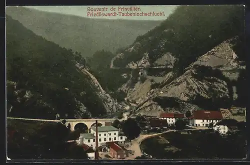 AK Frinvillier, Friedliswardt-Taubenlochschlucht, Panorama