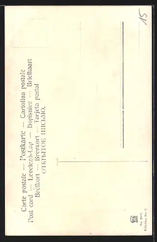Künstler-AK Friedrich Perlberg: Jerusalem, Jardin de Gethsemani