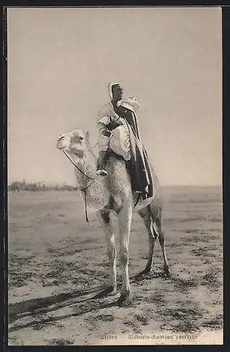 AK Biskra, Méharis-chameau courreur