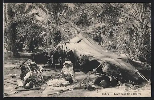AK Biskra, Tente sous les palmiers