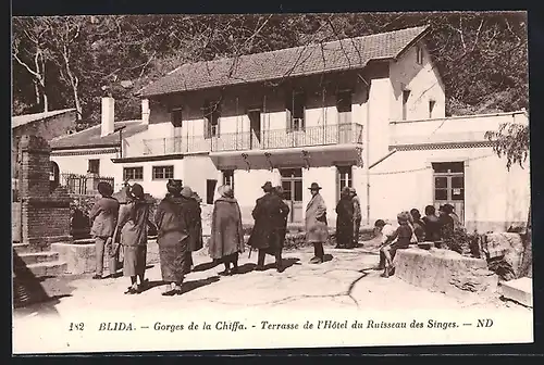 AK Blida, Gorges de la Chiffa, Terrasse de l`Hotel du Ruisseau des Singes