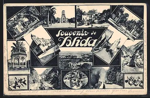 AK Blida, Ortsansicht, Palmen, lokale Architektur, Früchte