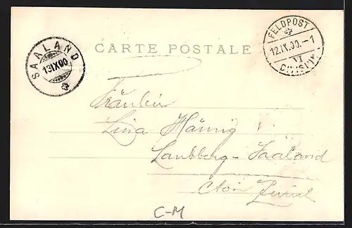 Präge-AK Schweiz, Wehrhafte Schweizer bei der Landesverteidigung