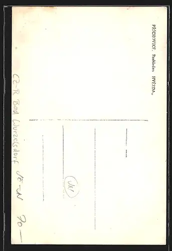 AK Bad Wurzelsdorf, Aussichtsturm