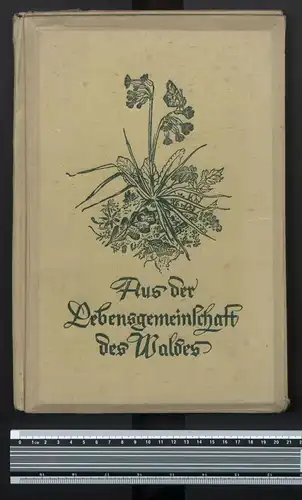 Raumbildalbum mit 150 Raumbildern, Aus der Lebensgemeinschaft des Waldes, Herausgeber Dr. Kurt Dieterich, Betrachter