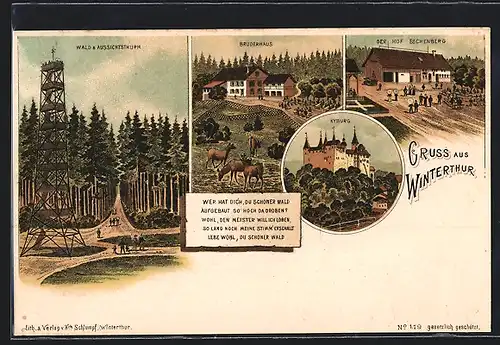 Lithographie Winterthur, Bruderhaus, Hof Eschenberg & Wald mit Aussichtstturm