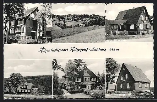 AK Hohegeiss-Hochharz, Haus Ingrid, Haus am Walde, Haus Waldeck, Altersheim, Haus Wiesengrund