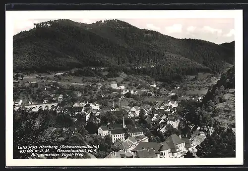 AK Hornberg (Schwarzwaldbahn), Gesamtansicht vom Bürgermeister-Vogel-Weg