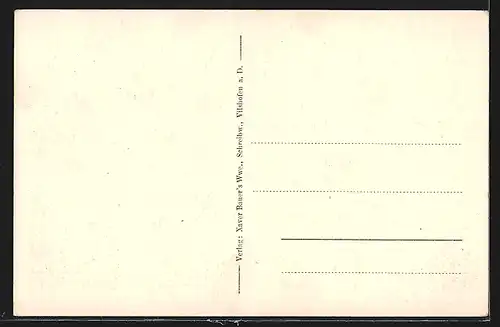 AK Vilshofen a. D., Ortsansicht mit Fluss