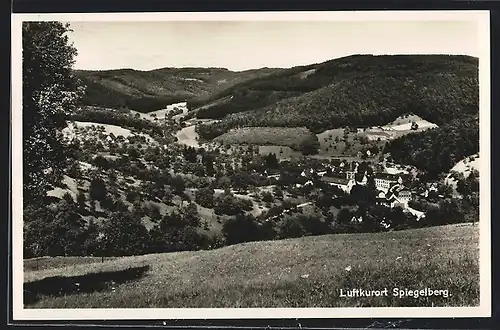 AK Spiegelberg / Württ., Blick ins Tal auf den Ort