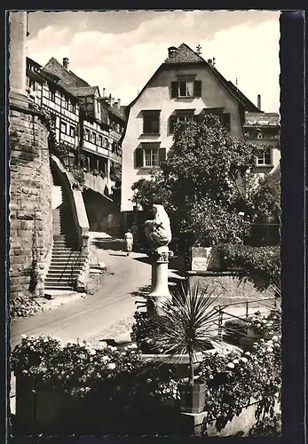 AK Meersburg a. B., Strassenpartie am Bärenbrunnen