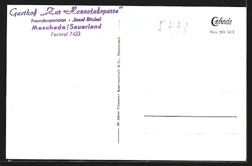 AK Meschede /Sauerland, Partie an der Hennetalsperre