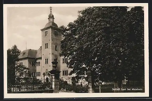 AK Meschede, Partie am Schloss Laer