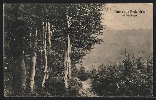 AK Roderbirken bei Leichlingen, Partie im Wald