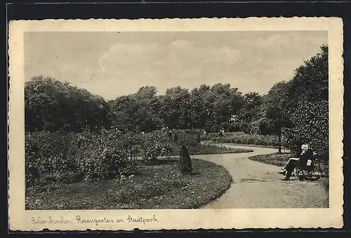 AK Gelsenkirchen, Rosengarten im Stadtpark