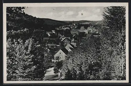 AK Güntersberge /Harz, Teilansicht