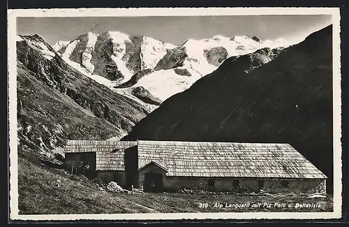 AK Pontresina, Alp Languard, Blick auf Piz Palü und Bellavista