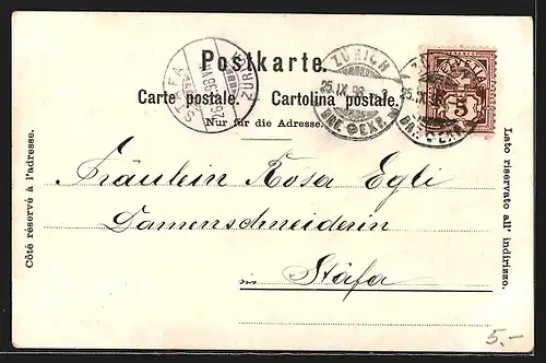 AK Zürich, Ortsansicht mit Dampfer und Denkmal