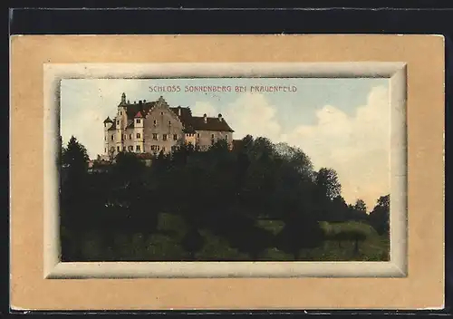 AK Frauenfeld, Schloss Sonnenberg