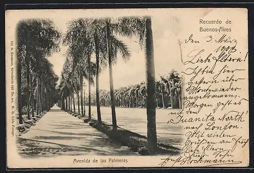 AK Buenos-Aires, Avenida de las Palmeras