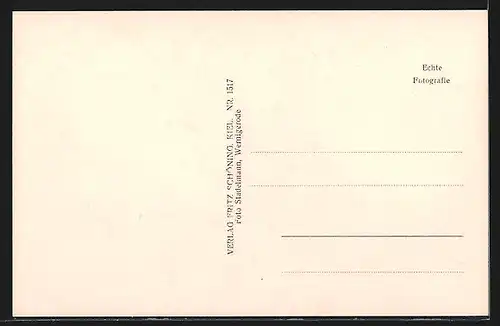 AK Wernigerode a. Harz, Marktplatz mit Rathaus