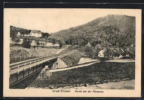 AK Gross-Wasser, Partie bei der Försterei