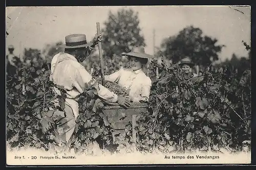 AK Au temps des Vendanges, Helferin bei der Weinlese