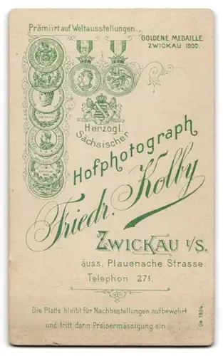 Fotografie Friedr. Kolby, Zwickau, Äusser. Plauensche Strasse, Junge Frau mit hübschen Gesicht und aufgestecktem Haar