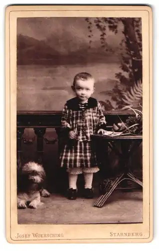 Fotografie Josef Woersching, Starnberg, niedliches Kleinkind im Kleid nebst seinem Hund