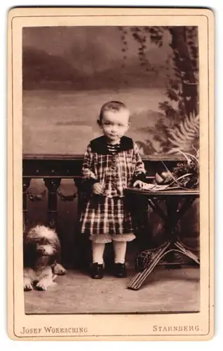 Fotografie Josef Woersching, Starnberg, kleines Mädchen im karierten Kleid nebst ihrem Hund