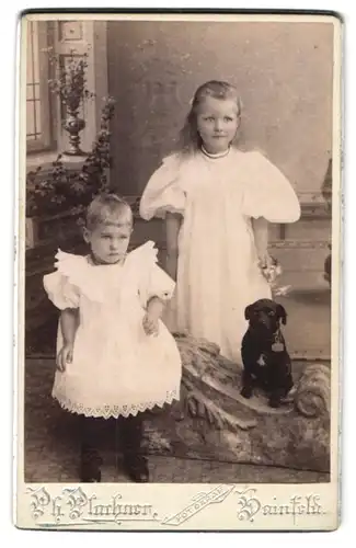 Fotografie Ph. Plachner, Hainfeld, zwei Kinder mit ihrem kleinen Hund im Atelier