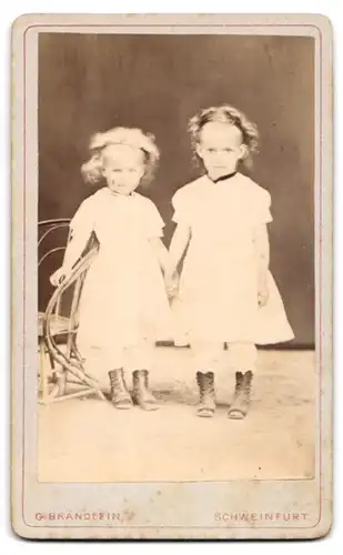 Fotografie Gebr. Brändlein, Schweinfurt, Bauerngasse 47, zwei Adler halten Banderole mit Anschrift des Ateliers