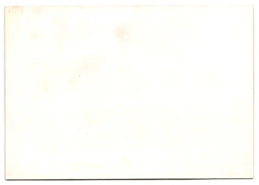 Fotoalbum mit 15 Lichtdrucken, Ansicht Karlsruhe, Hardtwald-Siedlung, Friedrich-Wolff-Str., Hindenburgstr., Waldring 20