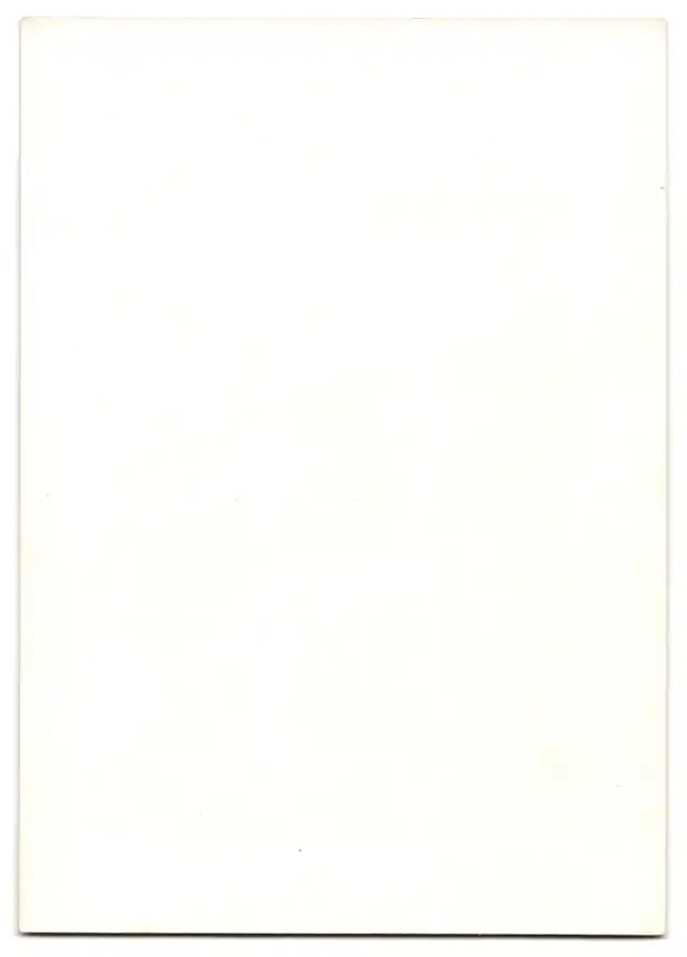 Fotoalbum mit 15 Lichtdrucken, Ansicht Karlsruhe, Hardtwald-Siedlung, Friedrich-Wolff-Str., Hindenburgstr., Waldring 28