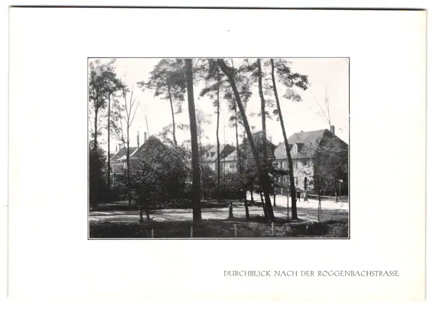 Fotoalbum mit 15 Lichtdrucken, Ansicht Karlsruhe, Hardtwald-Siedlung, Friedrich-Wolff-Str., Hindenburgstr., Waldring 9