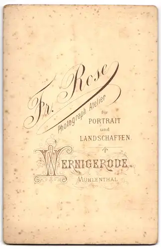Fotografie Fr. Rose, Wernigerode, Ansicht Wernigerode, Unterlauf Steinerne Renne
