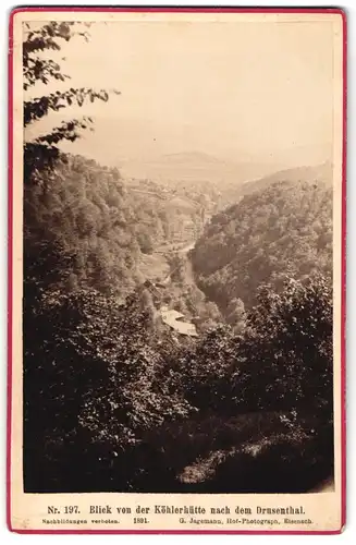 Fotografie G. Jagemann, Eisenach, Ansicht Brotterode, Drusenthal von der Köhlerhütte gesehen um 1891