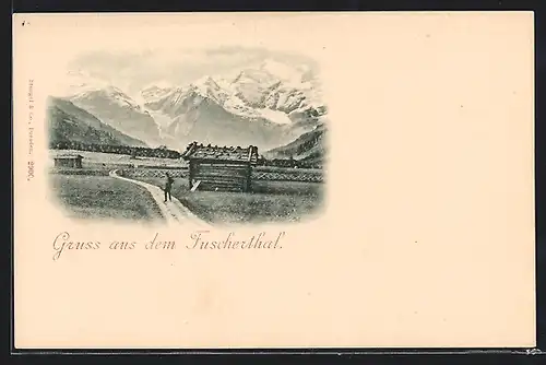 AK Fusch an der Grossglocknerstrasse, Fuscherthal, Hütten am Feldweg, Alpenpanorama