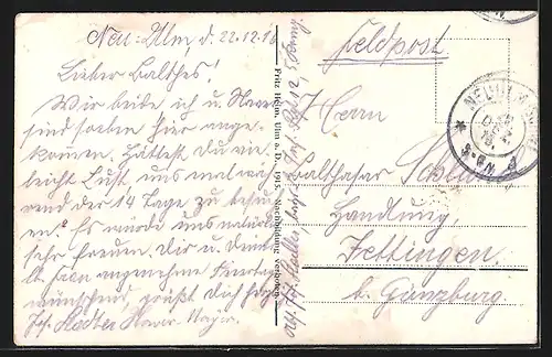 AK Ulm a. D., Flusspartie mit Blick auf den Dom