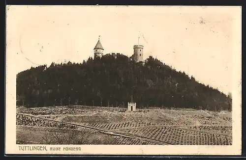 AK Tuttlingen, Blick auf die Ruine Honberg