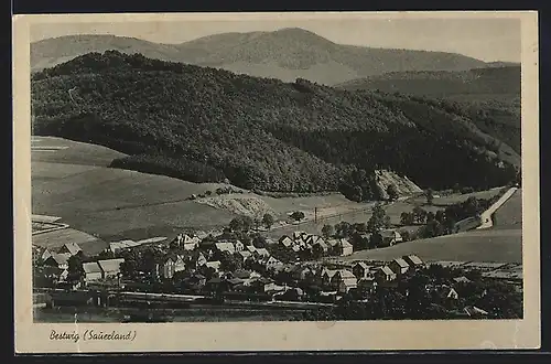 AK Bestwig (Sauerland), Ortsansicht vor bewaldeten Hügeln
