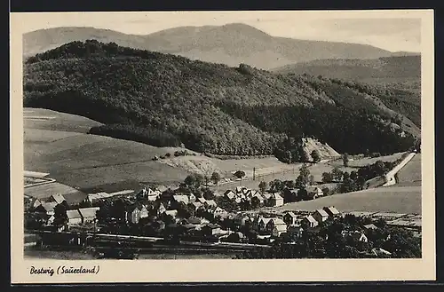 AK Bestwig (Sauerland), Ortsansicht gegen Waldgebiet