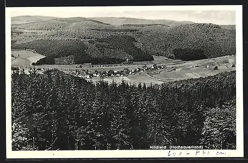 AK Hildfeld (Hochsauerland), Ortsansicht im Waldpanorama