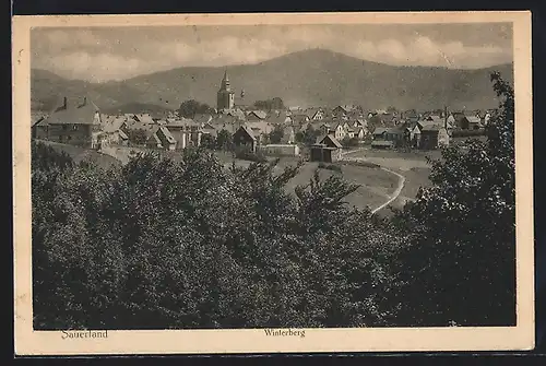 AK Winterberg /Sauerland, Ortsansicht über Bäume hinweg