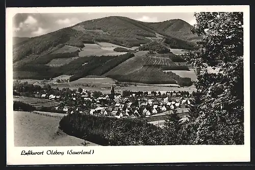 AK Olsberg (Sauerland), Ortsansicht vor bewaldetem Berg