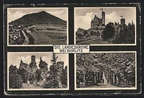 AK Görlitz, Die Landeskrone, Schloss, Waldweg