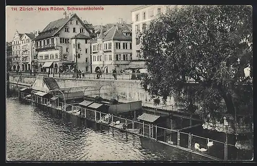AK Zürich, Haus Rüden, Schwanenkolonie