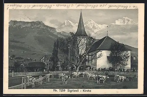 AK Sigriswil, Kirche mit weidenden Kühen